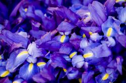 开云体育登录-横扫，但不是征服