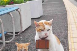 开云体育中国-用左脚在莱比锡写下法国传说，当一束光刺破德国冬夜