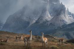 开云体育入口-登峰造极的一夜，当冰冷数据遇上滚烫的英雄主义