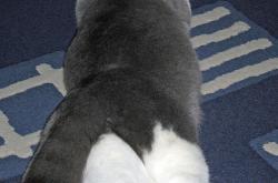 开云体育官网-未战先火，2026世界杯之夜的德里赫特预言