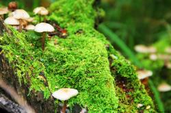 开云体育登录-诺坎普心跳骤停的624秒，门迪如何用一次防守，定义了足球的唯一性