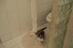 开云体育在线-绿茵江湖，黄潜水艇的友谊赛奇袭，孙兴慜成破局之钥