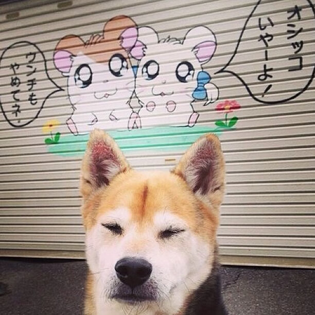 印尼队力克日本队，石宇奇刷新纪录，羽坛双喜临门开启新时代