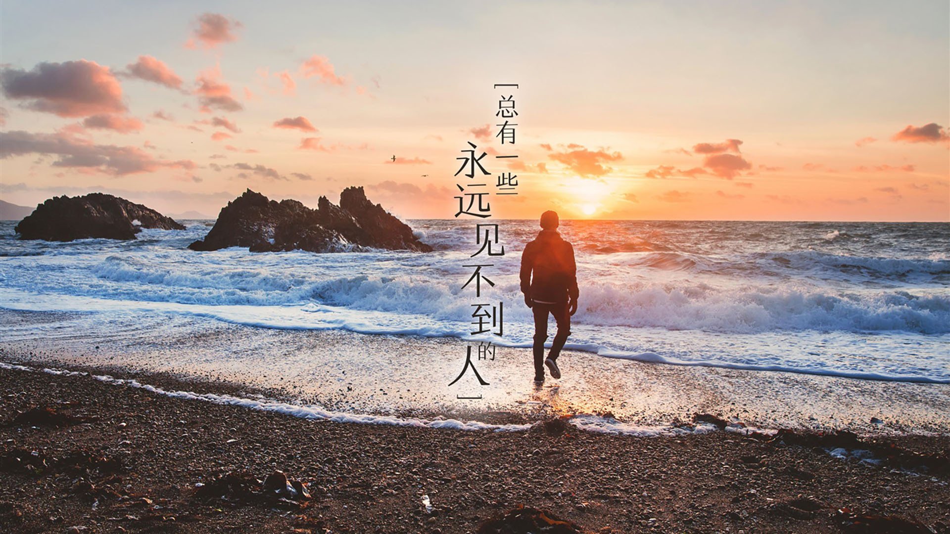 鏖战德国队！波兰队王皓状态火热领衔胜利