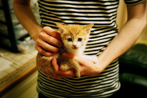 冰与火之歌，阿尔卡拉斯以逆转烈焰，重燃ATP总决赛的永恒战场