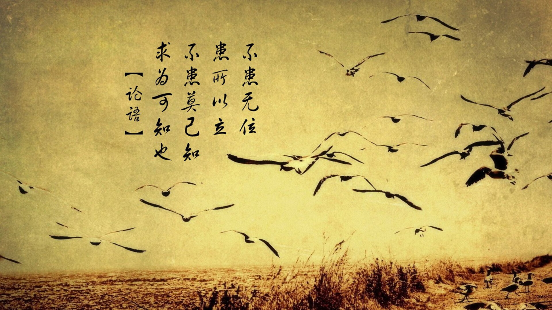 跨界传奇，当英格兰战车横扫樱花武士，许昕何以扛起三狮军团大旗？