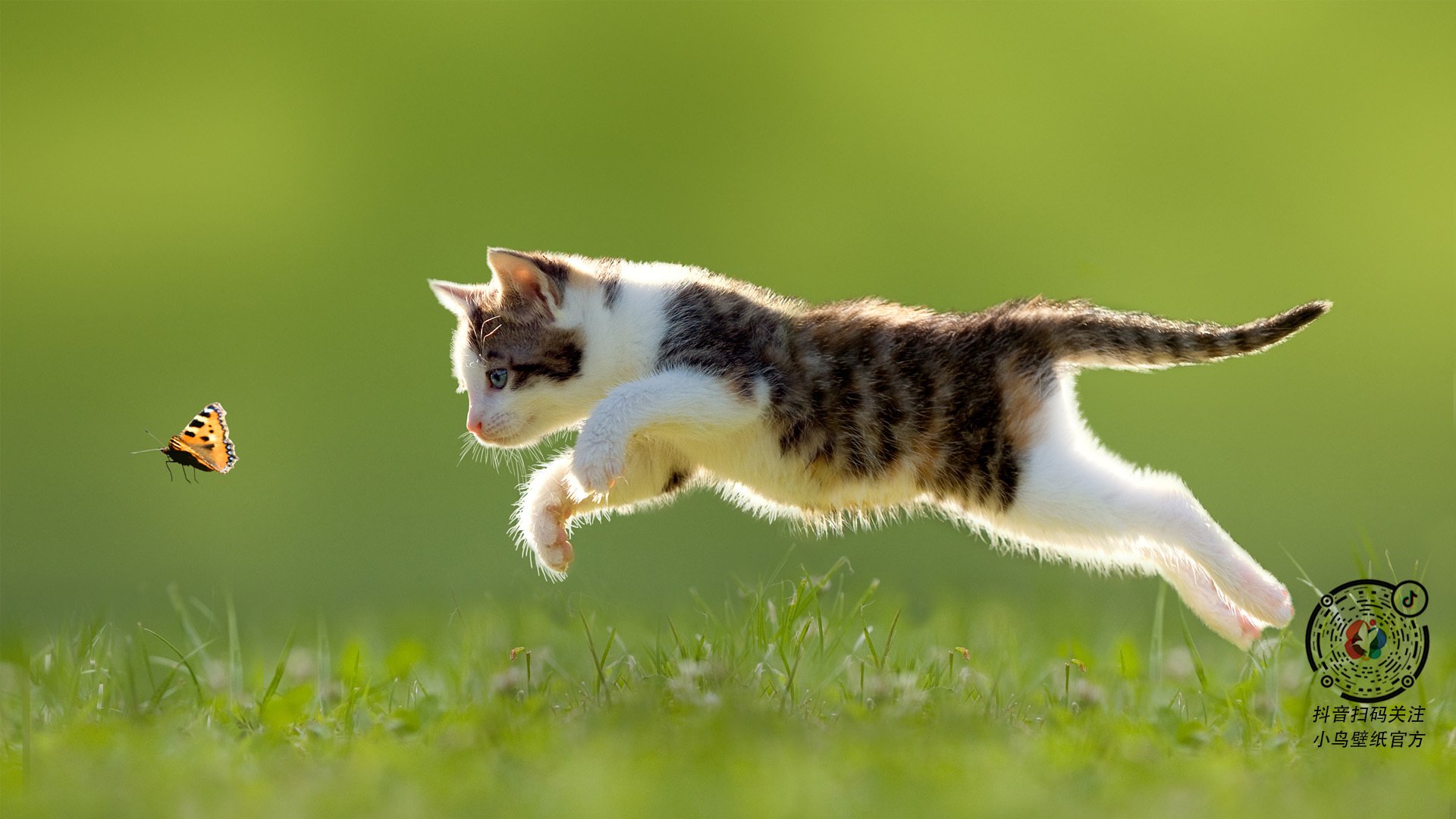 跨越太平洋的险胜,当尼克斯遇见福建,杜兰特38分写下传奇