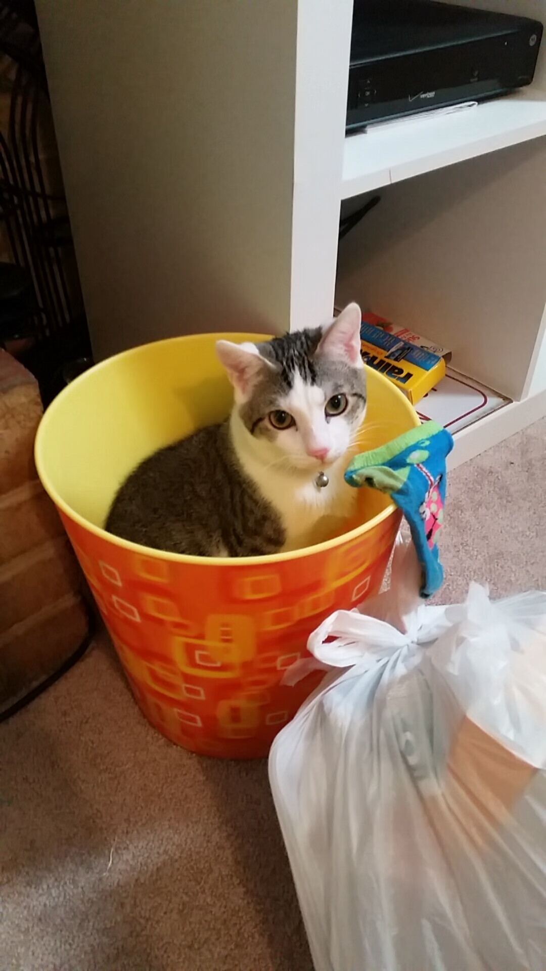 魔术巅峰对决篮网,霍勒迪一箭穿心定江山