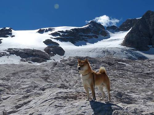 量子纠缠之夜，马丁内利如何成为唯一打破平衡的观测者
