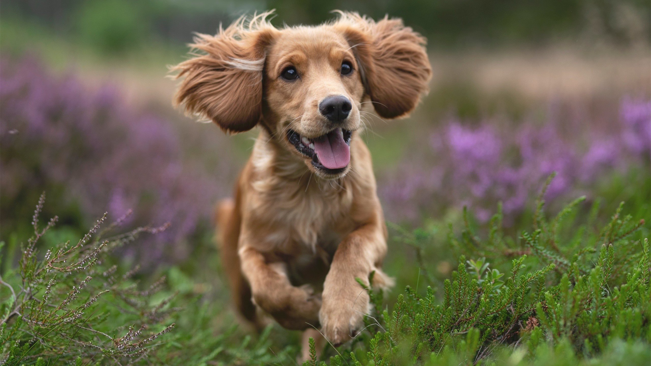 唯一乾坤,奥亚尔萨瓦尔的六秒改变欧战命运