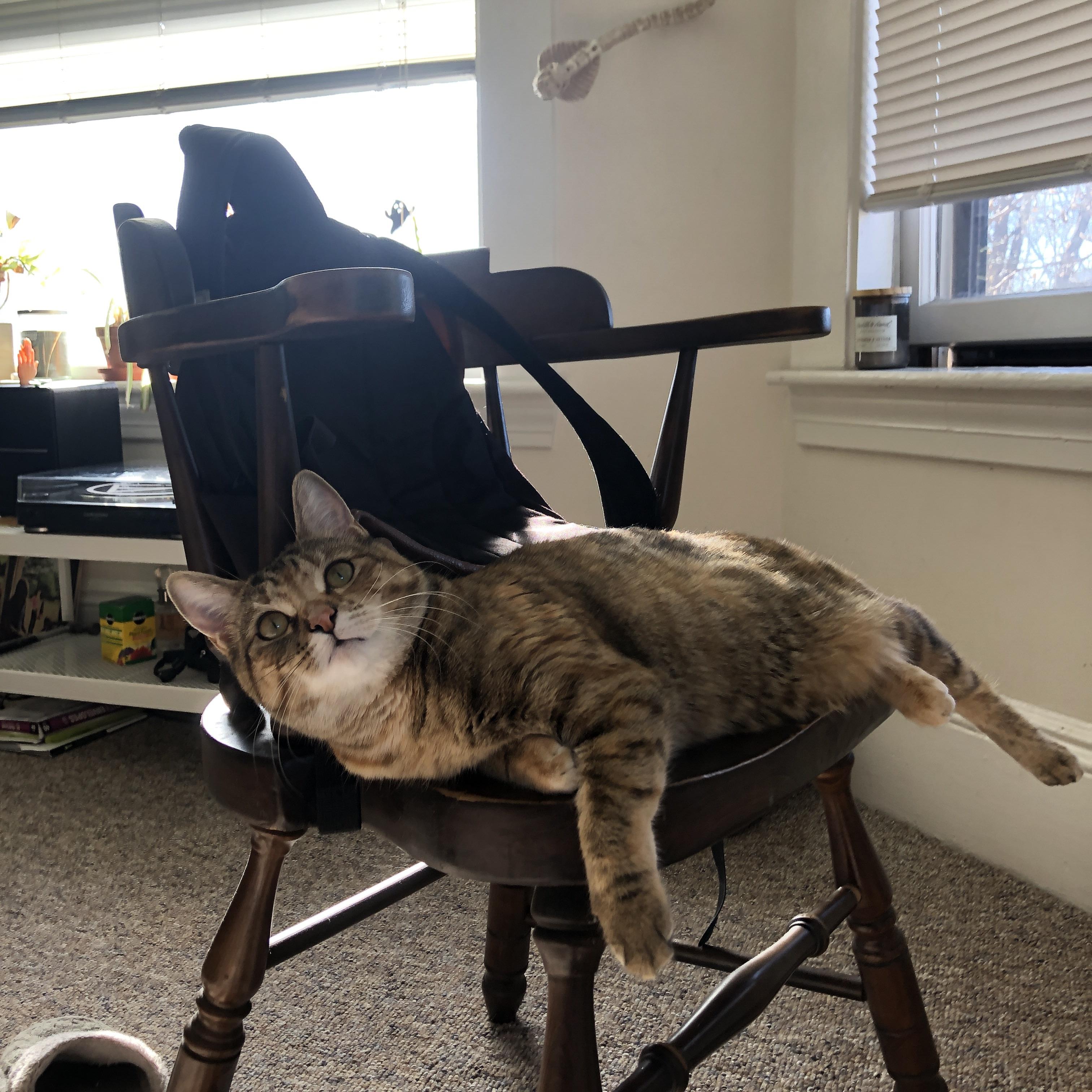 宿敌对决的唯一解法，当德罗赞用古典技艺主宰现代狂潮