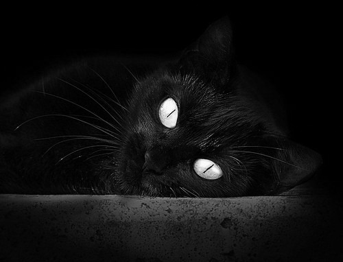 欧文单骑踏碎费城！开拓者狂飙突进，帝国大厦防线全线告急