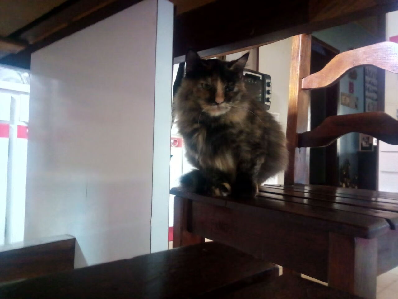 荣耀时刻，当太阳用一波流焚尽雷霆，杰伦·格林用一记绝杀定义关键先生