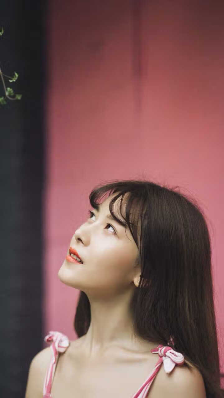 孤星闪耀北美,2026世界杯焦点战,范戴克率队碾压塞尔维亚,哥斯达黎加进攻端全面爆发写就唯一传奇