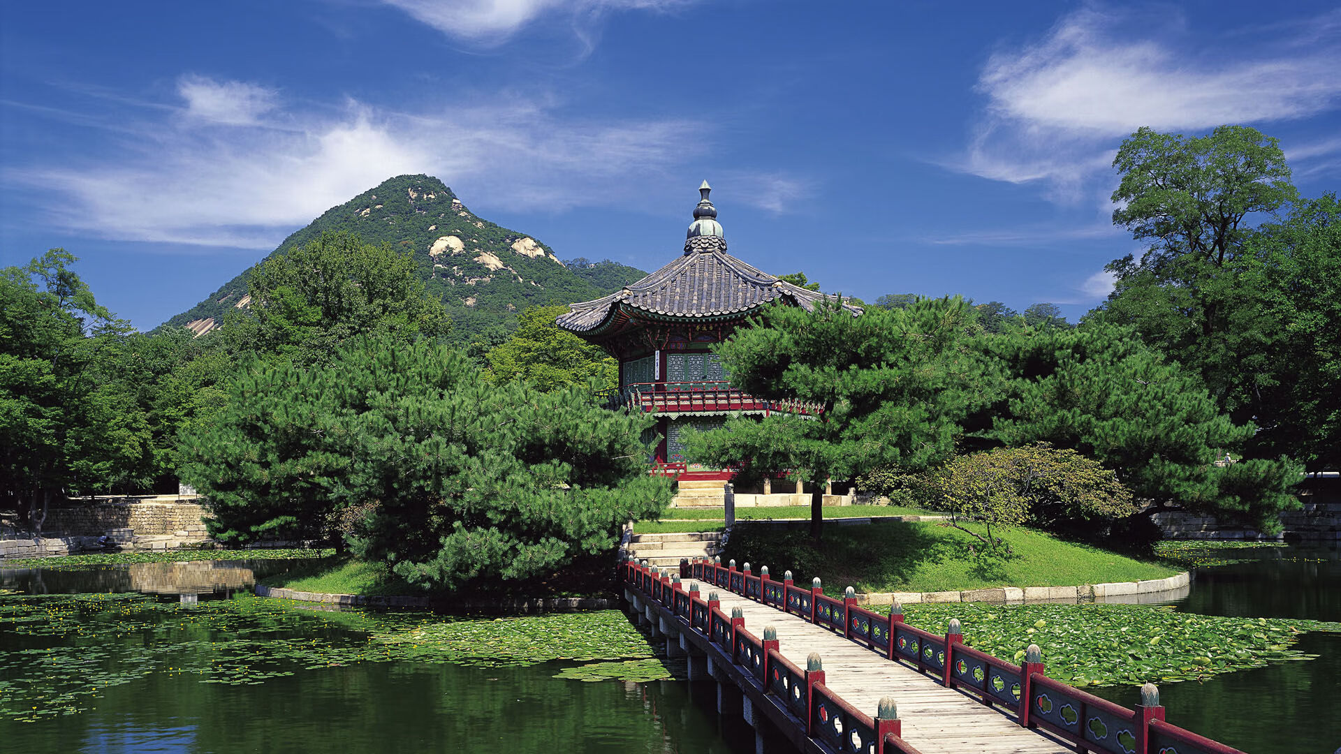 沙漠之狐的逆袭，2026世界杯那场改写足球美学的强强对话，费利克斯让桑巴军团黯然神伤